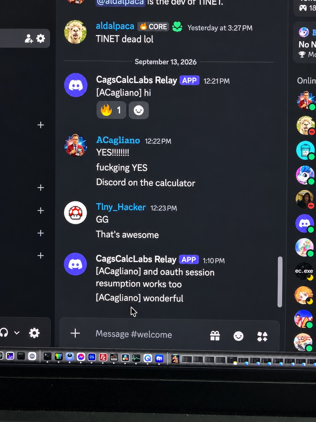 Project screenshot
