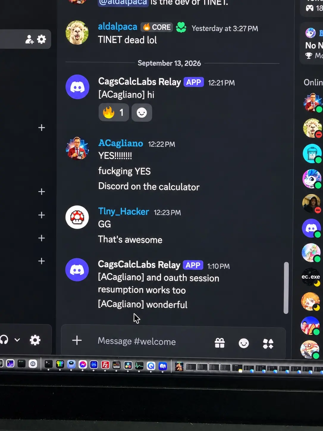 Project screenshot